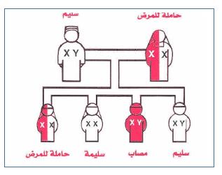 الملخص أمراض تنتقل وراثيا